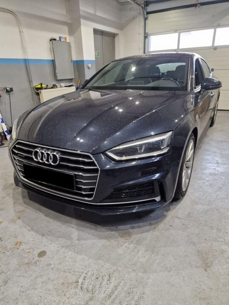 Zdjęcie z warsztatu Arto Auto Klinika – Laboratorium VAG (Z032)