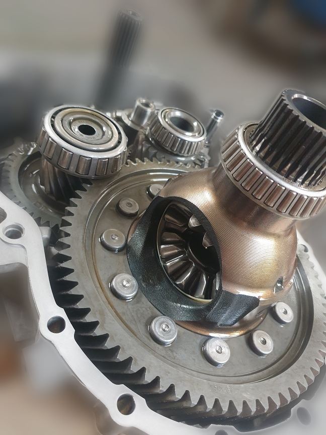 Mechanizm różnicowy i wałki skrzyni DSG podczas regeneracji